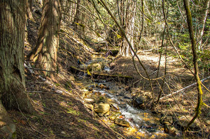 Creek
