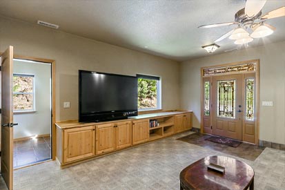 Downstairs Family Room