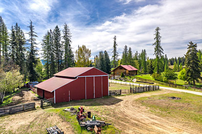 Barn and Outbuildings