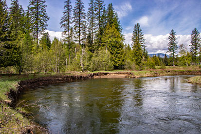 Grouse Creek in the Selle Valley