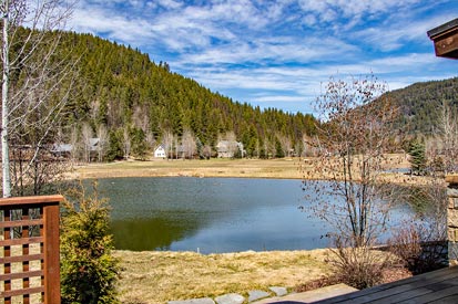 Pond Views