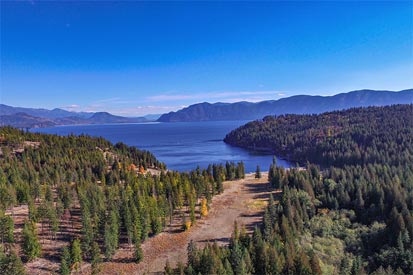 Camp Bay Timbered lands