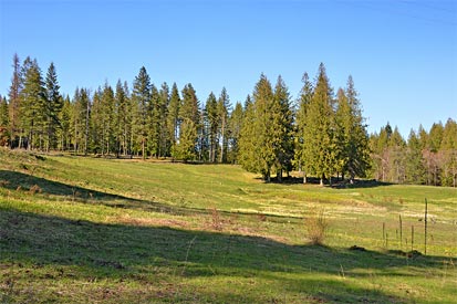 Camp Bay rolling meadows