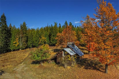 The Old Homestead from the Early 1900s