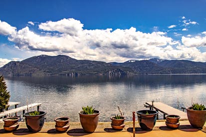 Patio View