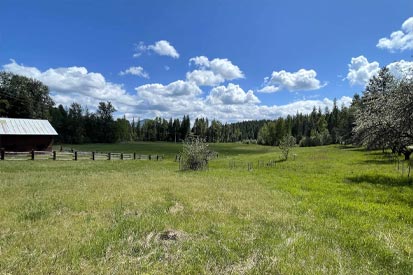 The Meadow