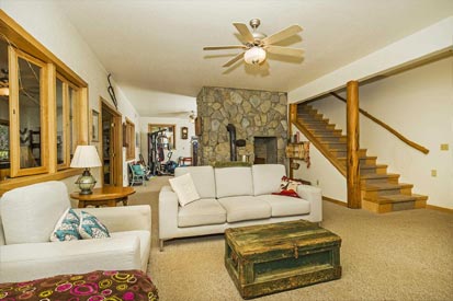 Basement Living Area
