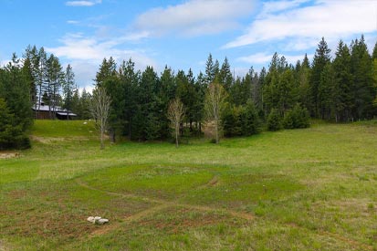 The Grounds